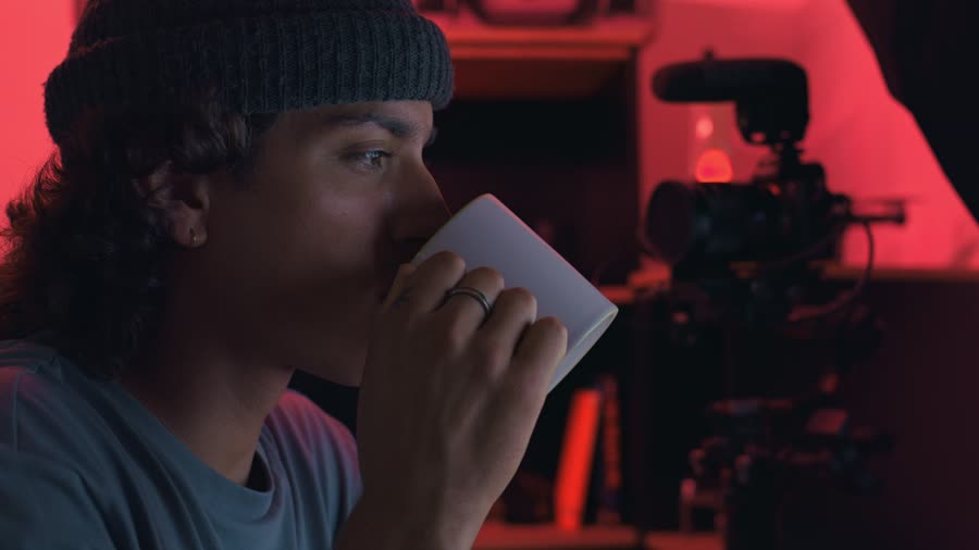 Director's monitor